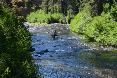 DSC_9892 (Large).JPG